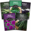 5 Heirloom Kale Varieties Seed Collection – Red Russian, Scarlet, Lacinato, Siberian & Ornamental Kale Seeds for Planting Year-Round Greens and Garden Color