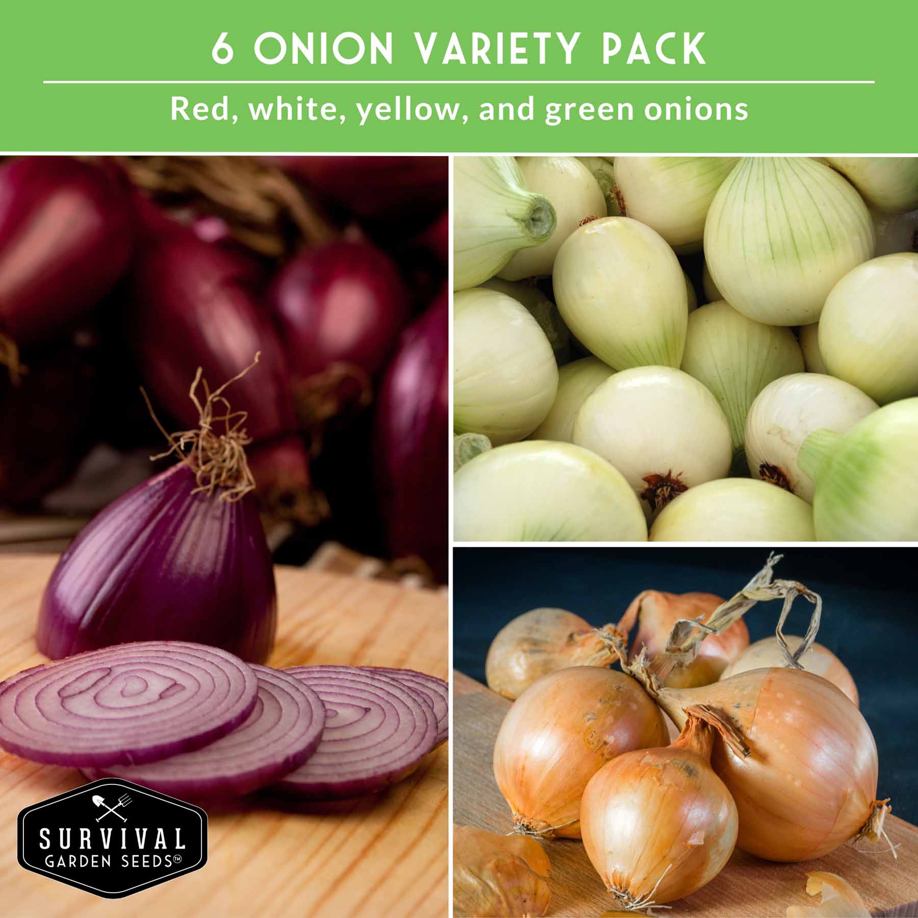6 Onion Seed Collection – Red, White, Yellow, Bunching & Storage Varieties for Every Growing Region