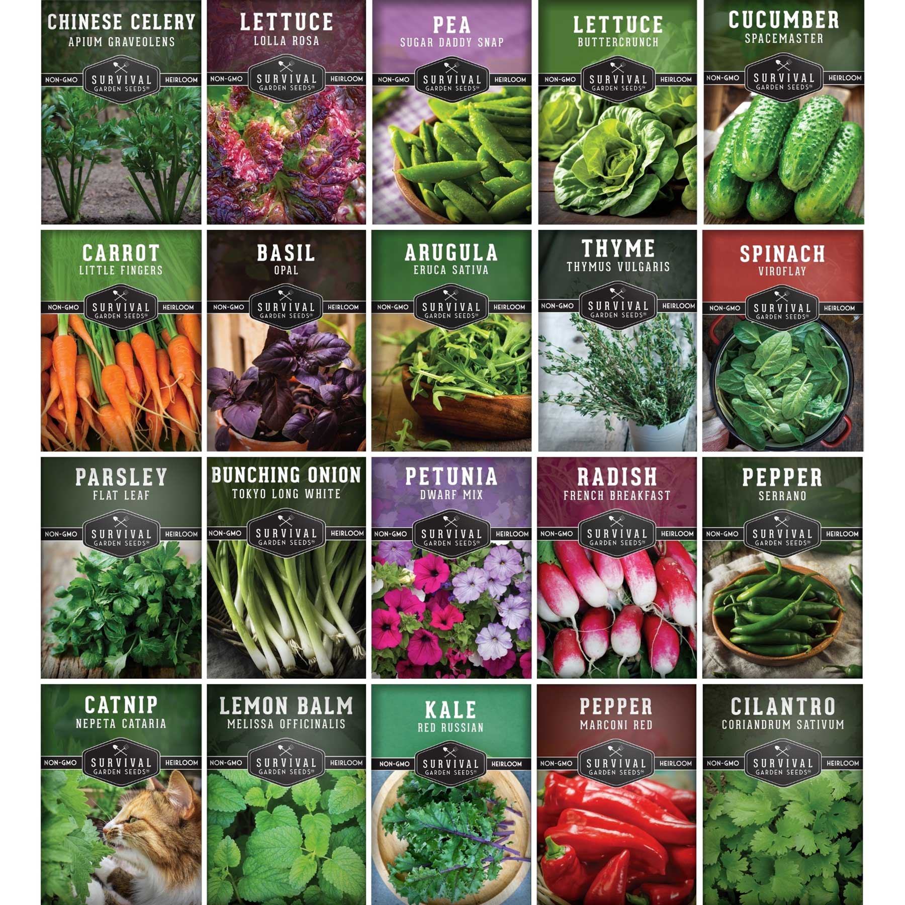 20 Variety Apartment Kit Seed Vault – Non-GMO Heirloom Seeds for Hydroponic & Indoor Small-Space Gardening