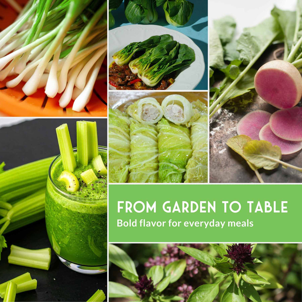 Asian Vegetable Seed Collection – 6 Heirloom, Non-GMO Varieties for Stir-Fries, Soups & Authentic Home Cooking