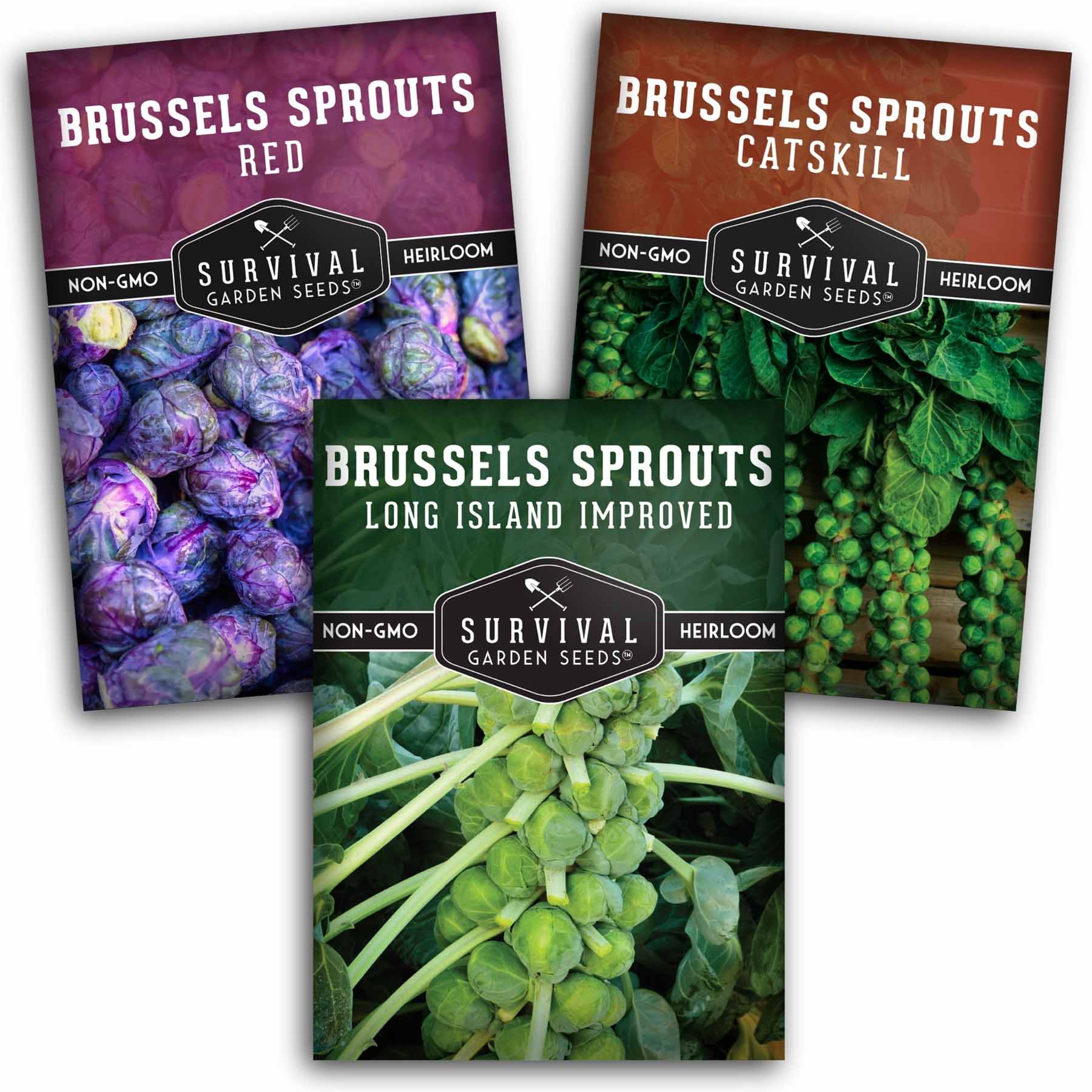 Brussels Sprouts Seed Collection – Red, Catskill & Long Island Improved Heirlooms for Cool-Season Harvests