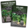 Celery Seed Collection – Utah Celery & Chinese Celery for Flavorful, Productive Gardens