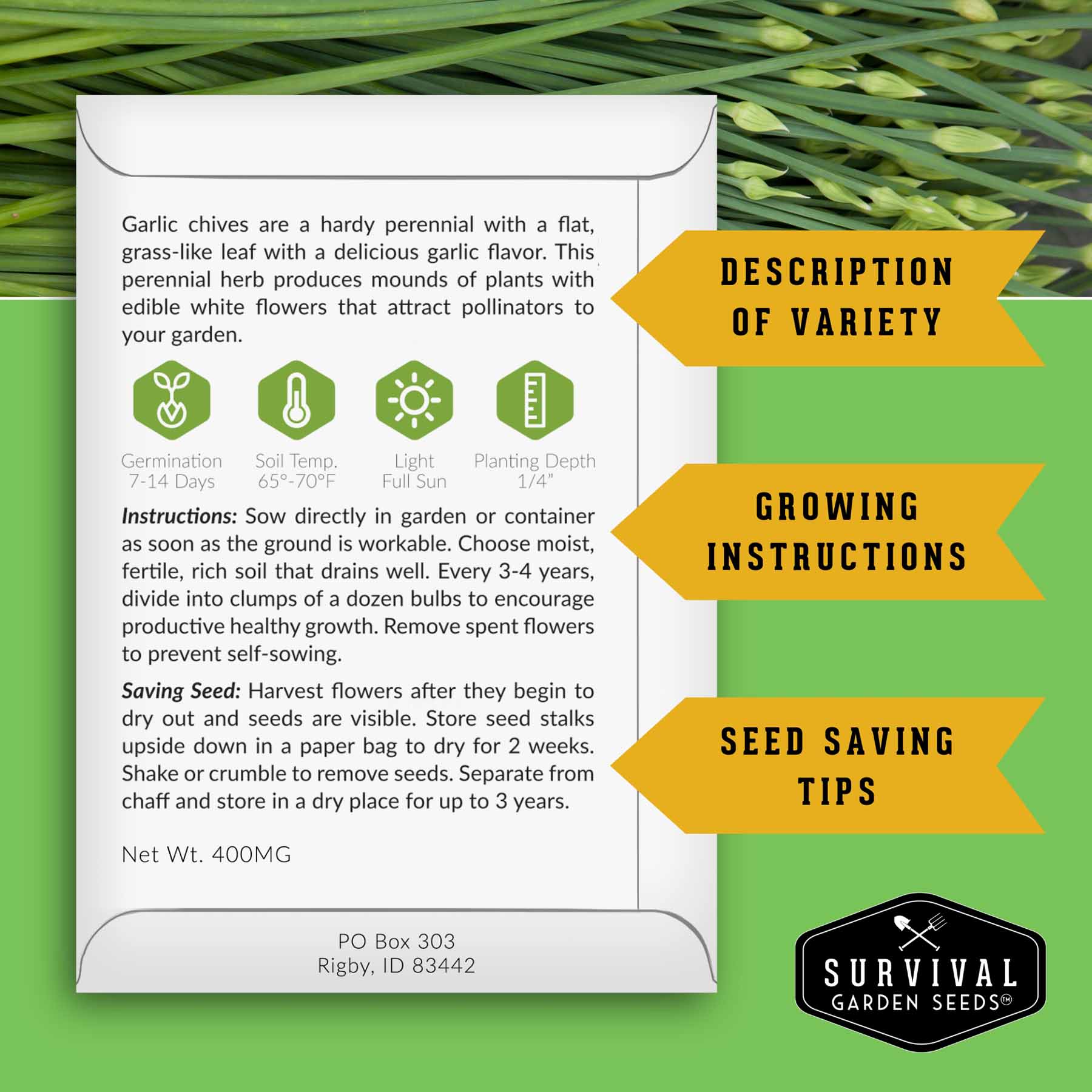 Chive Seed Collection – Common Chives & Garlic Chives for Flavorful, Pollinator-Friendly Herb Gardens