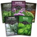 Culinary Herb Seed Collection – 5 Essential Kitchen Herbs for Indoor or Outdoor Growing