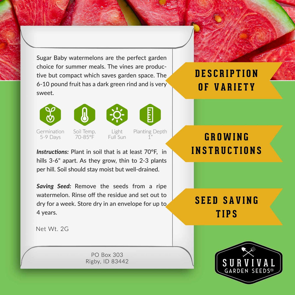 Drought-Tolerant Vegetable Seeds Variety Pack – 10 Heat-Resilient, Full-Sun Garden Favorites for Dry Climate Growing