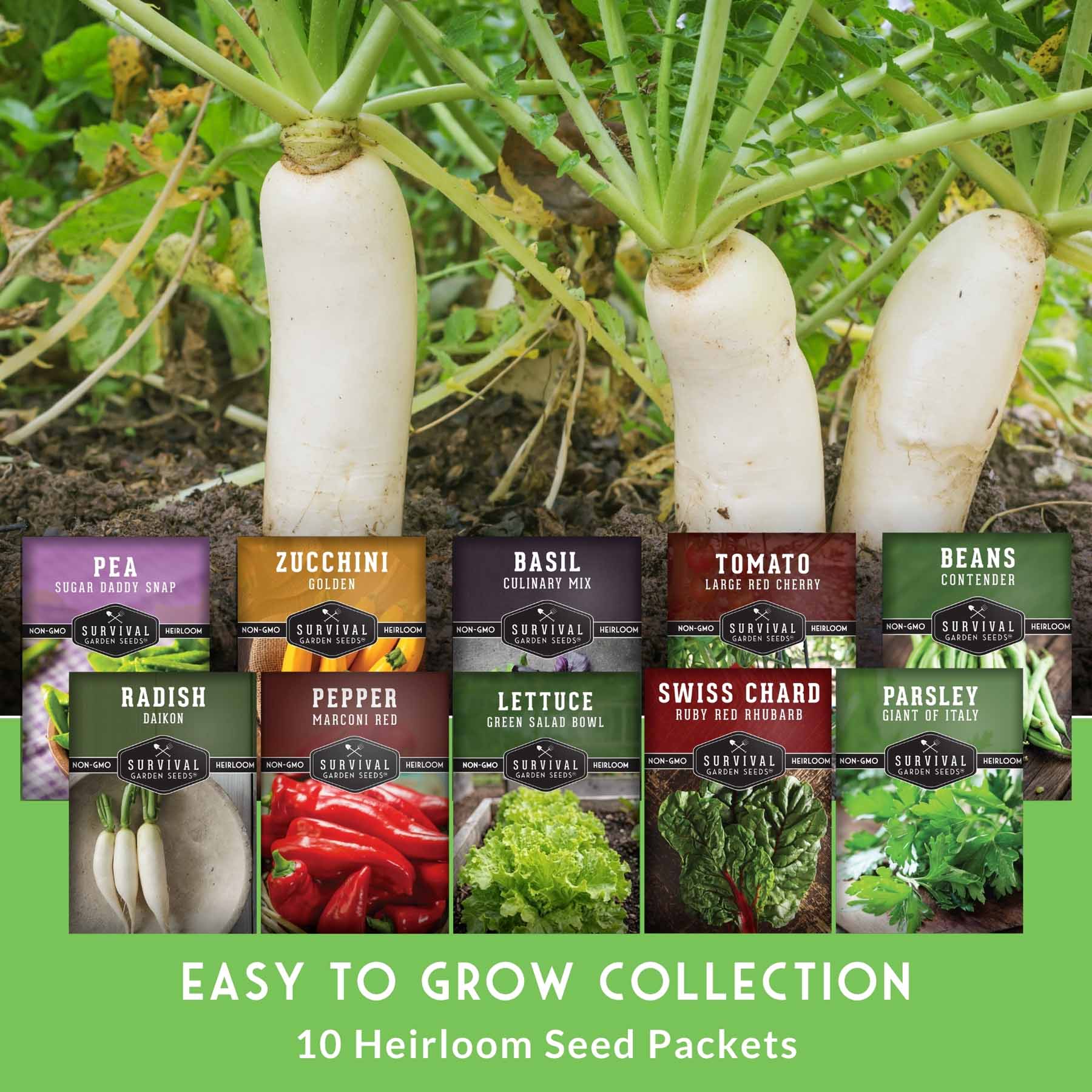 Easy-to-Grow Seed Collection – Beginner-Friendly Vegetables & Herbs for Quick, Reliable Harvests