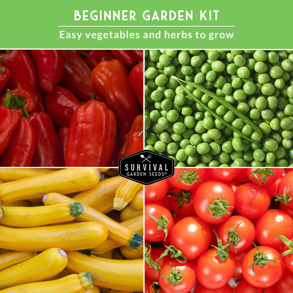 Easy-to-Grow Seed Collection – Beginner-Friendly Vegetables & Herbs for Quick, Reliable Harvests