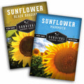 Edible Sunflower Seeds Collection – Mammoth & Black Russian Heirloom Non-GMO Varieties for Roasting, Bird Feed & Towering Garden Displays