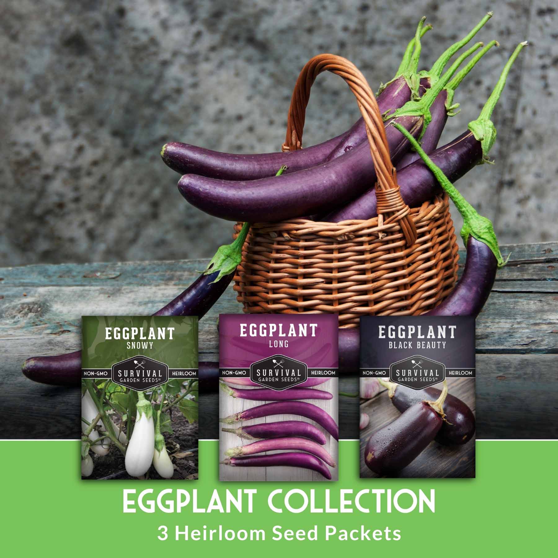 Eggplant Seed Collection – Snowy, Long Purple & Black Beauty Varieties for Home Gardens