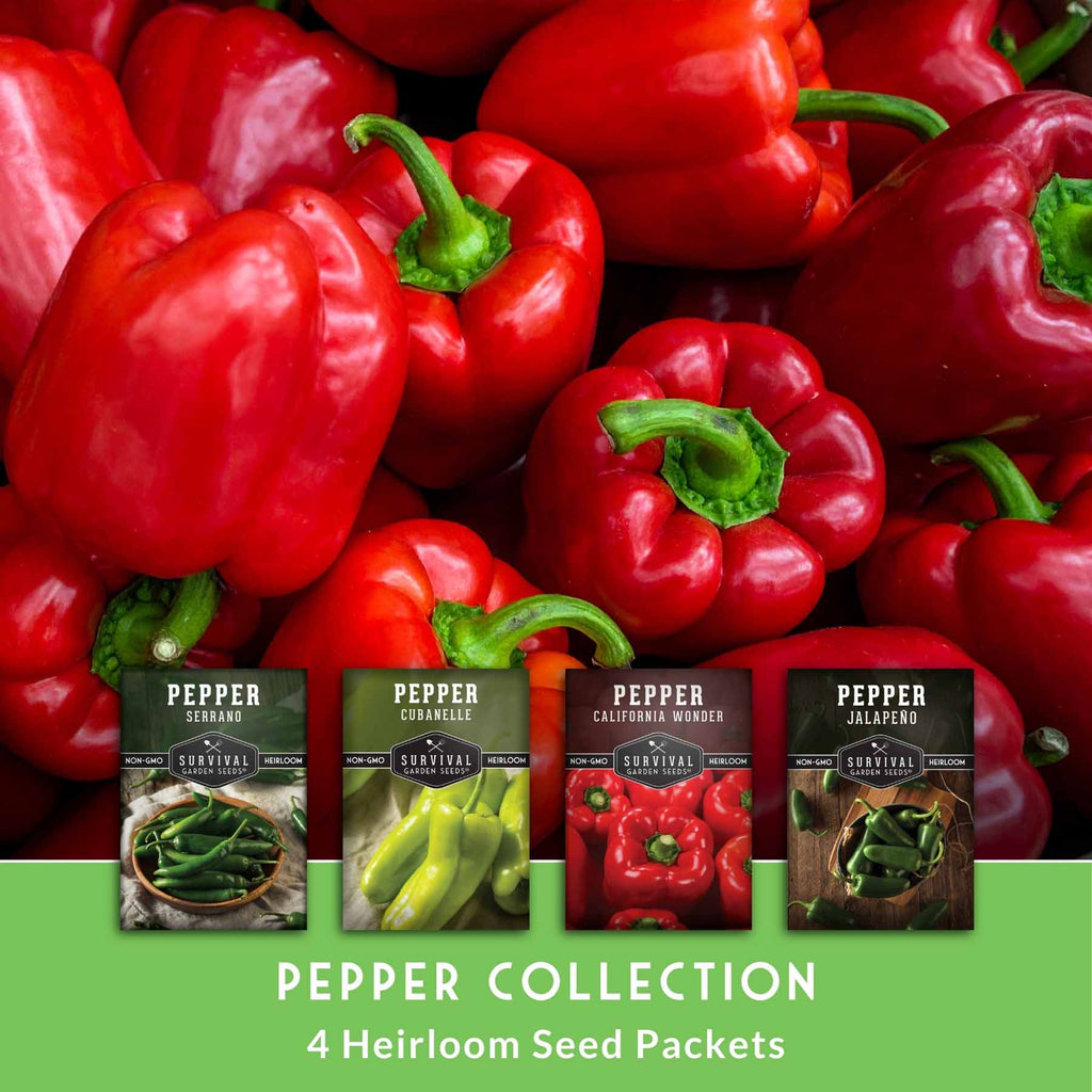 4 Pepper Seed Collection – Heirloom Non-GMO Hot & Sweet Peppers for Salsas, Roasting & Fresh Garden Harvests