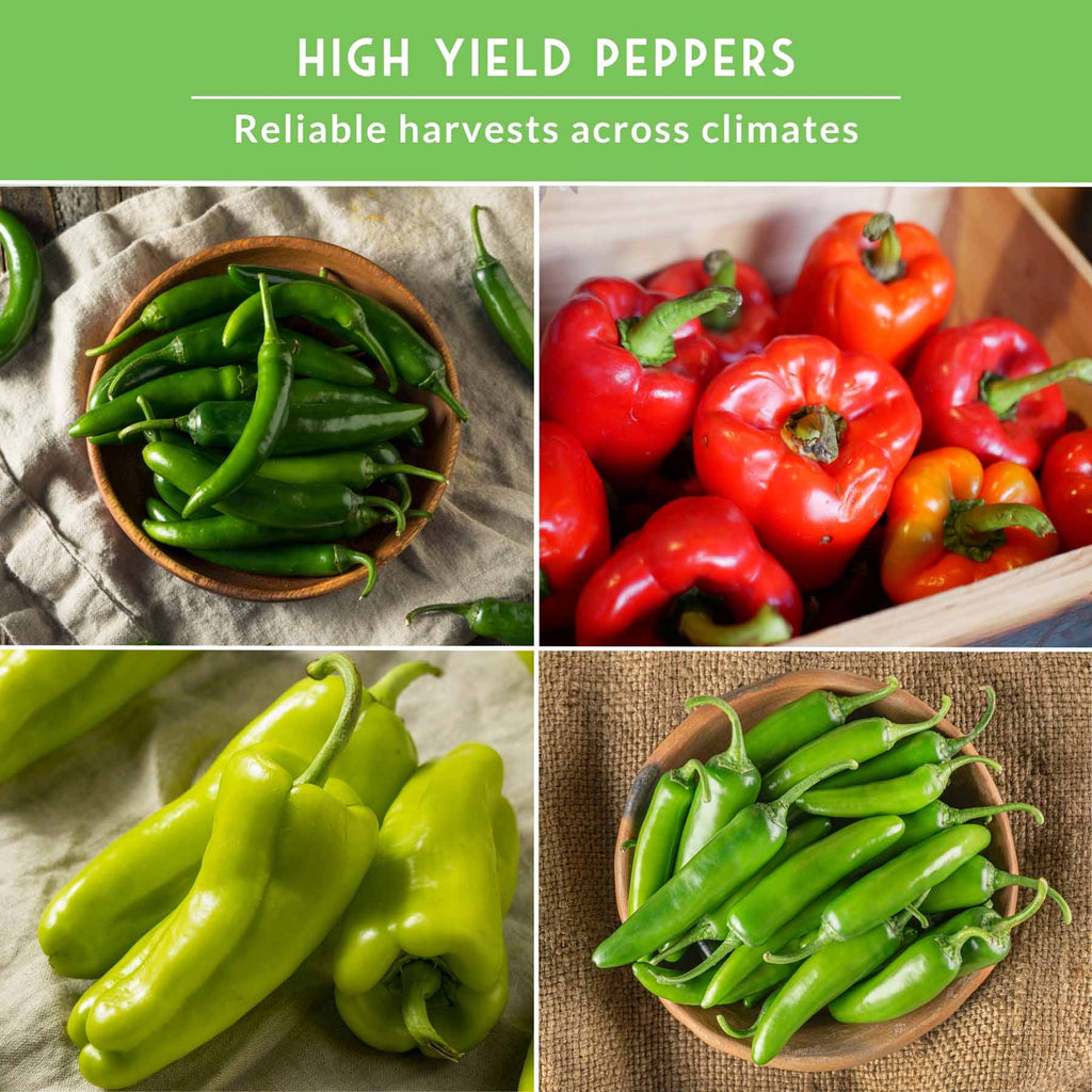 4 Pepper Seed Collection – Heirloom Non-GMO Hot & Sweet Peppers for Salsas, Roasting & Fresh Garden Harvests