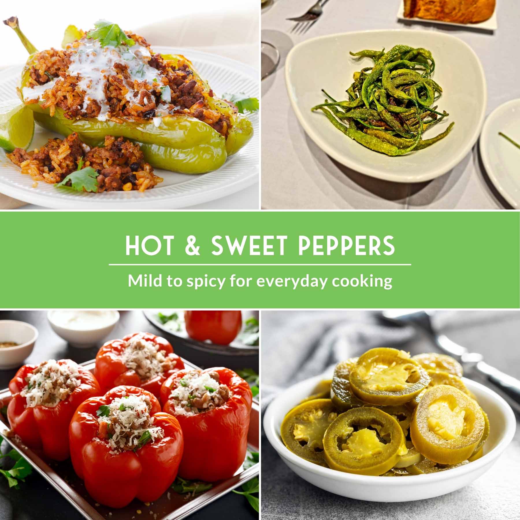 4 Pepper Seed Collection – Heirloom Non-GMO Hot & Sweet Peppers for Salsas, Roasting & Fresh Garden Harvests