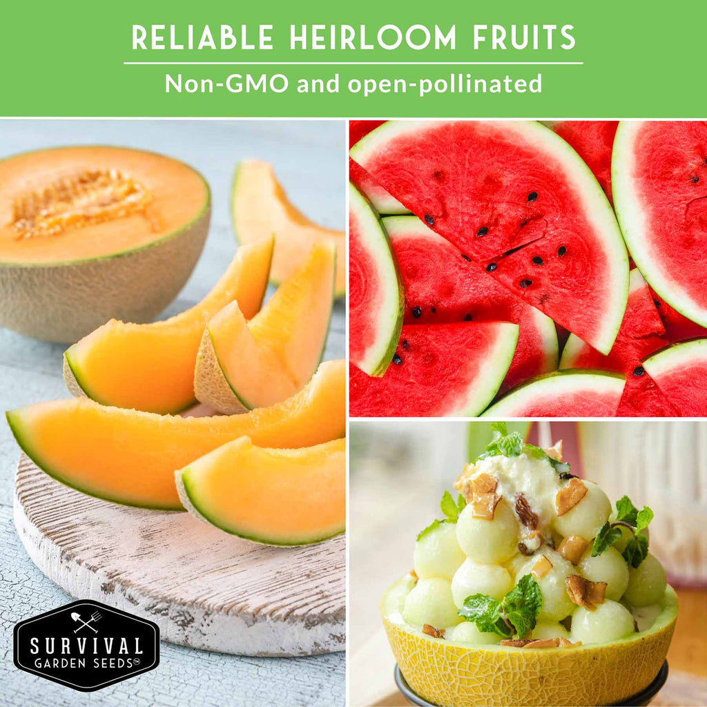 8-Variety Heirloom Fruit Seed Collection – Non-GMO Strawberry, Melon & Watermelon Seeds for Home Gardens