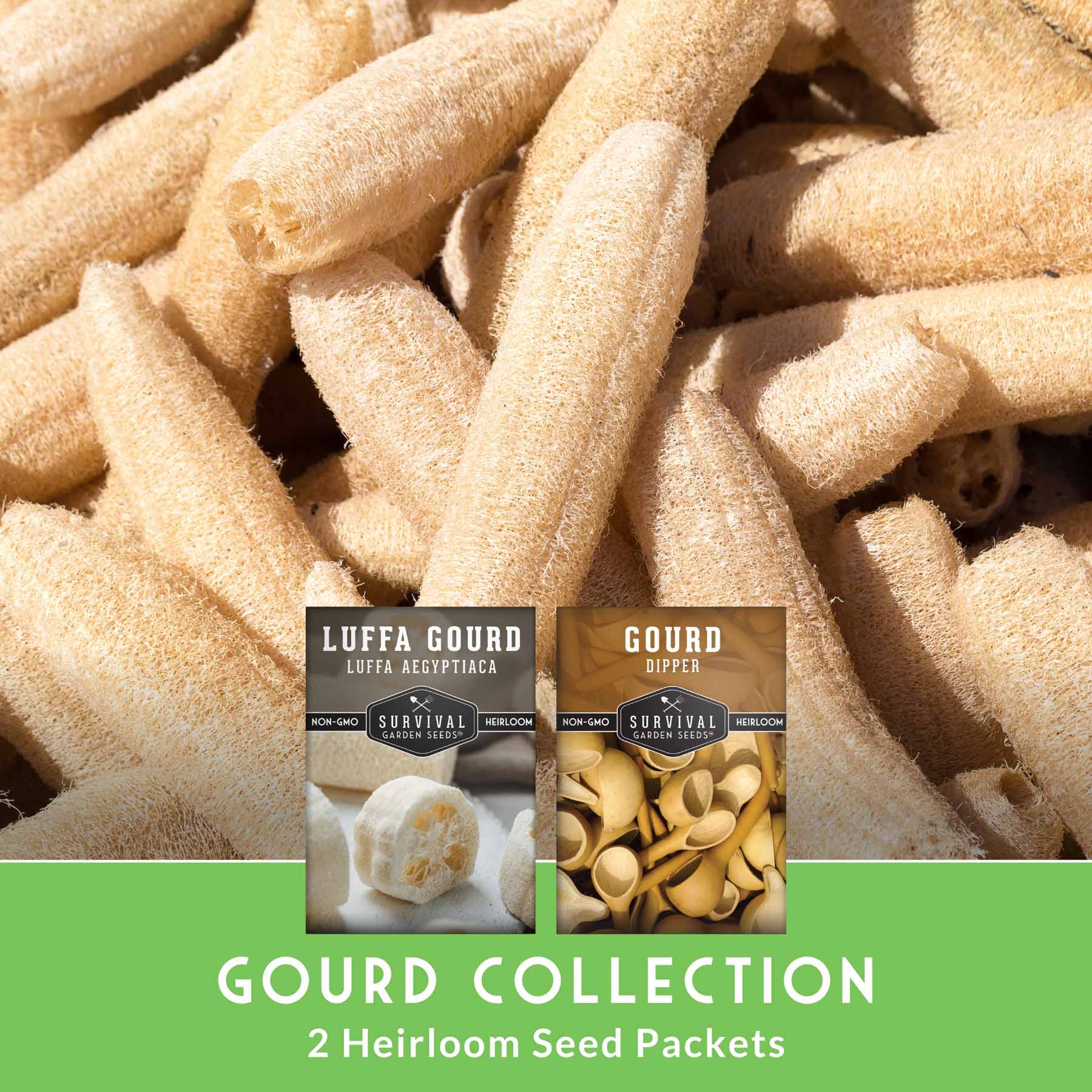 Gourd Seed Collection – Dipper Gourds & Luffa (Loofah) Gourds for Crafting, Utility & Eco-Friendly Uses