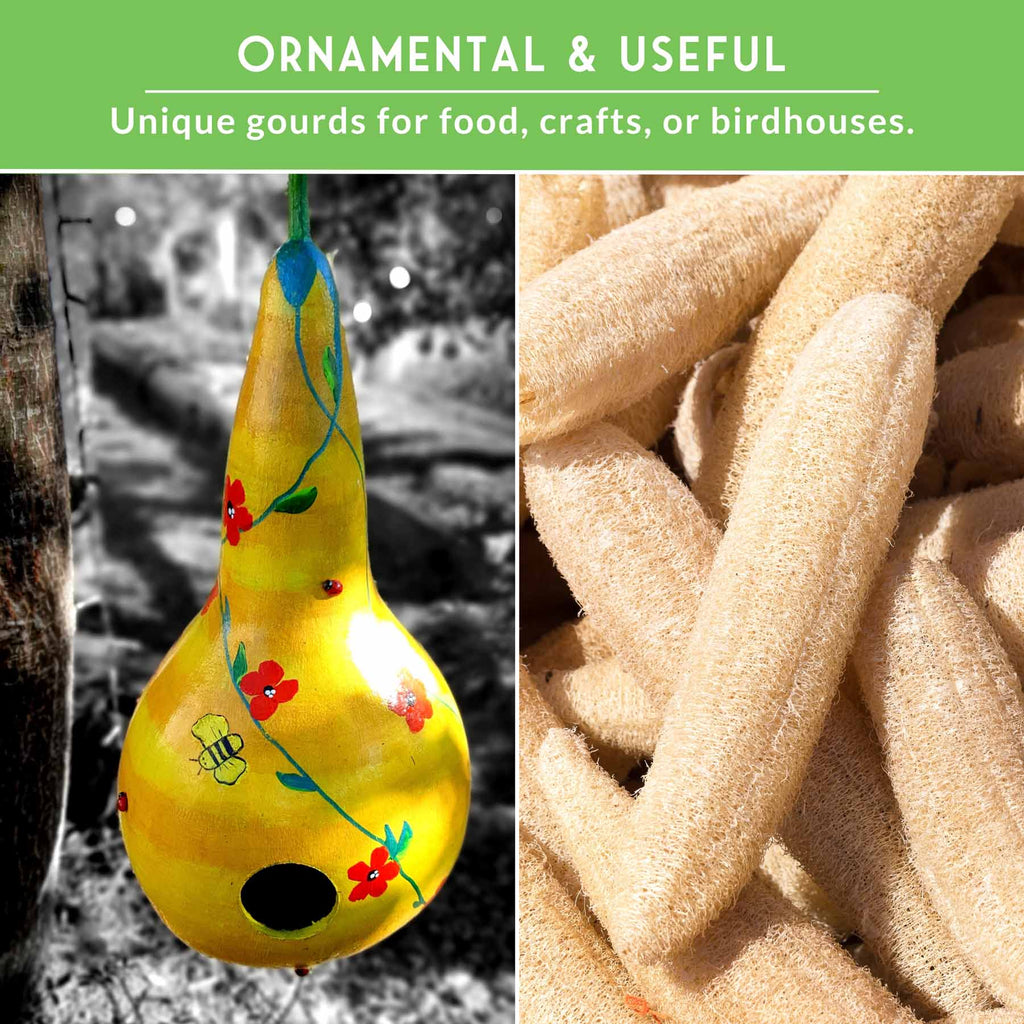 Gourd Seed Collection – Dipper Gourds & Luffa (Loofah) Gourds for Crafting, Utility & Eco-Friendly Uses