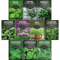 Indoor Herb Garden Seeds Variety Pack – 10 Heirloom Culinary Herbs for Windowsill or Container Growing