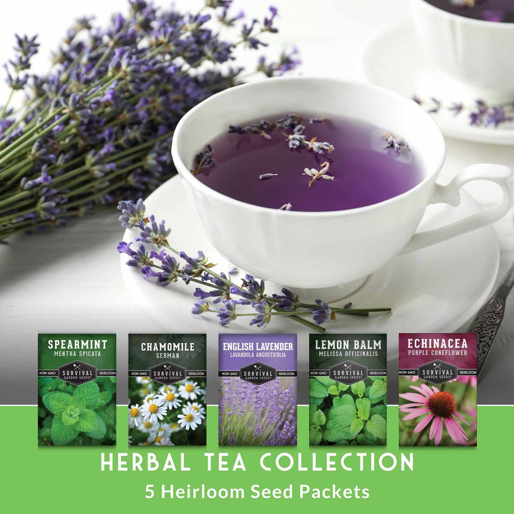 Herbal Tea Garden Seeds Kit – 5 Heirloom Medicinal Herbs for Soothing Teas, Remedies & Pollinator-Friendly Gardens