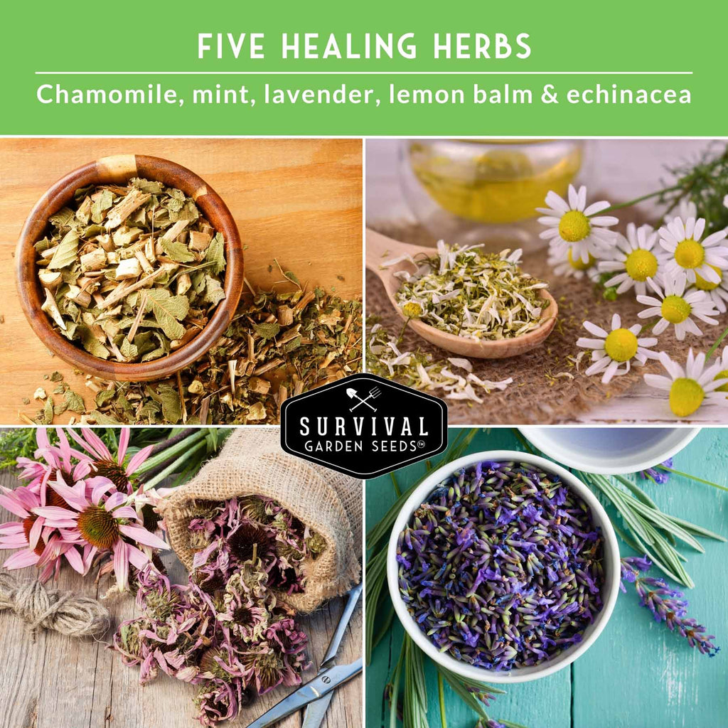 Herbal Tea Garden Seeds Kit – 5 Heirloom Medicinal Herbs for Soothing Teas, Remedies & Pollinator-Friendly Gardens