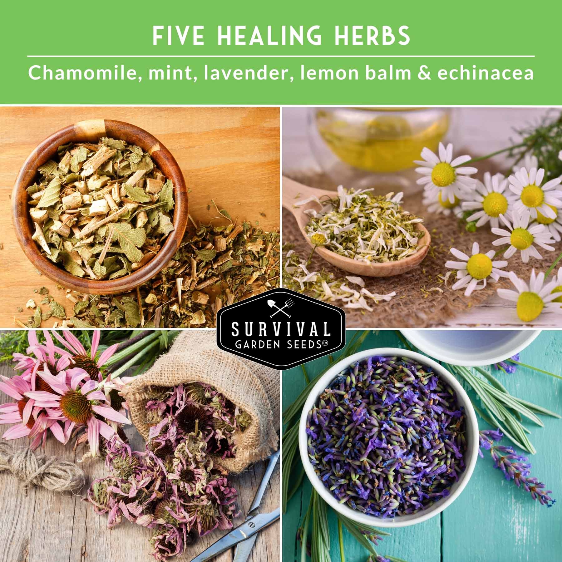 Herbal Tea Garden Seeds Kit – 5 Heirloom Medicinal Herbs for Soothing Teas, Remedies & Pollinator-Friendly Gardens