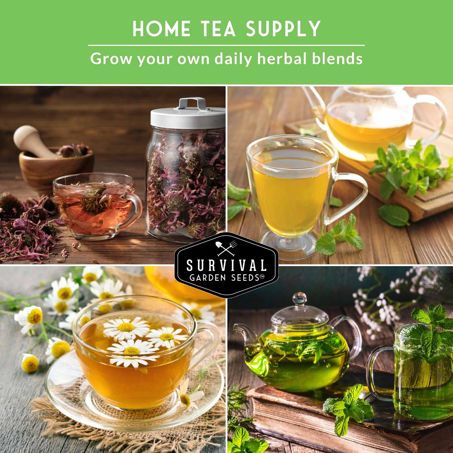 Herbal Tea Garden Seeds Kit – 5 Heirloom Medicinal Herbs for Soothing Teas, Remedies & Pollinator-Friendly Gardens