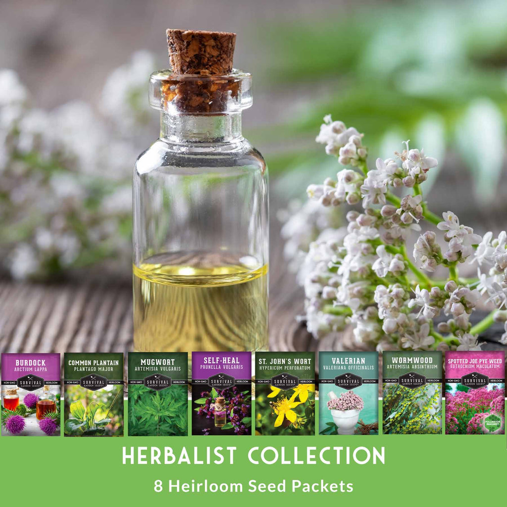 Herbalist Bundle – 8-Varieties of Heirloom Perennial & Biennial Healing Plants for Advanced Apothecary Gardens