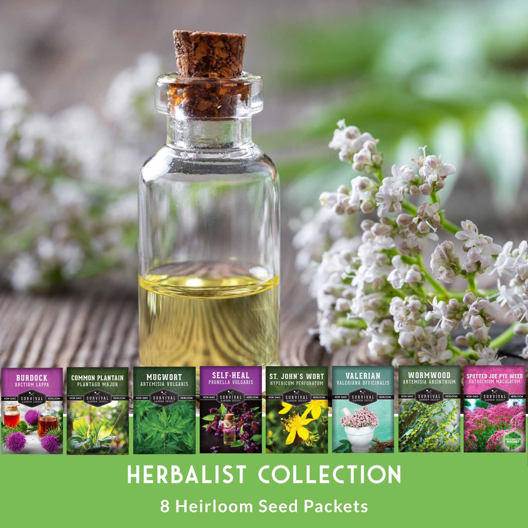 Herbalist Bundle – 8-Varieties of Heirloom Perennial & Biennial Healing Plants for Advanced Apothecary Gardens