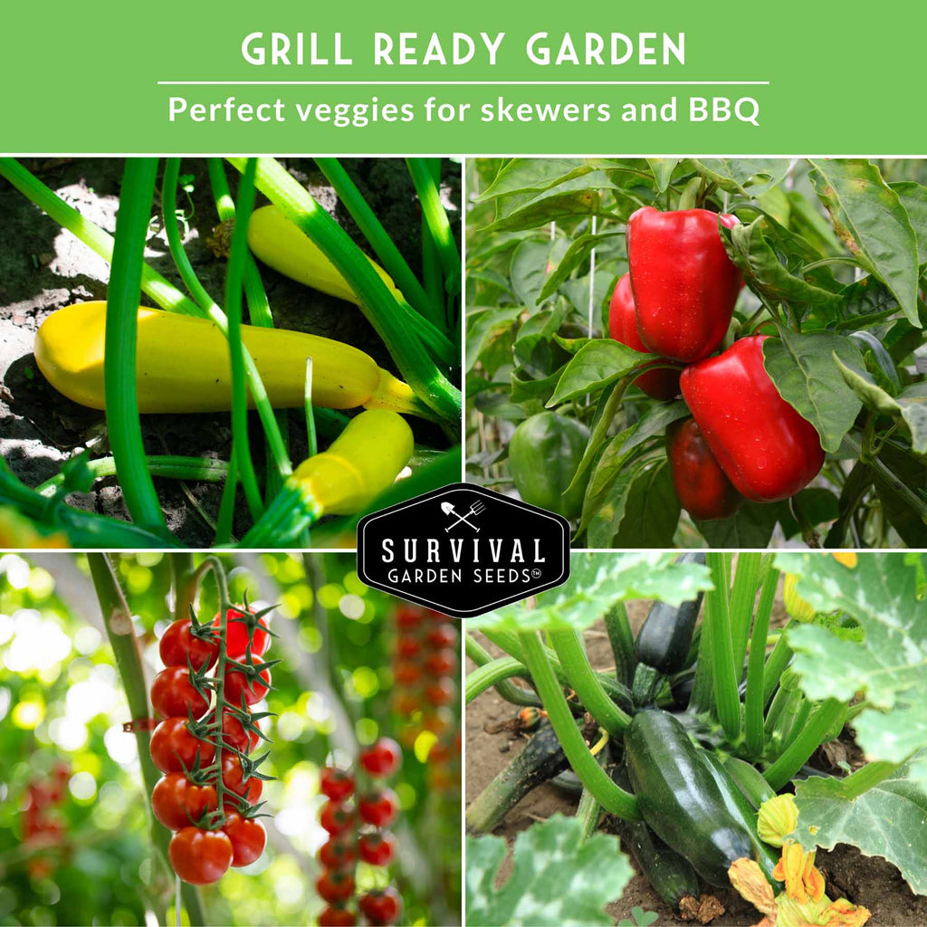Kabob Skewer Vegetable Seed Collection – 4 Heirloom Grilling Favorites for Fresh, Flavorful Summer Cooking