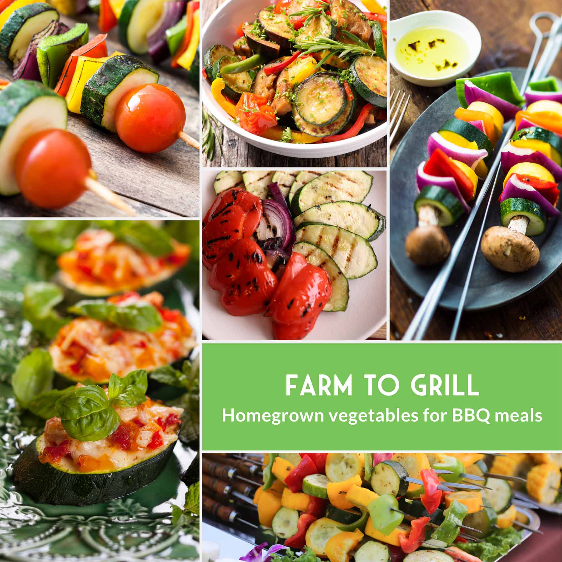 Kabob Skewer Vegetable Seed Collection – 4 Heirloom Grilling Favorites for Fresh, Flavorful Summer Cooking
