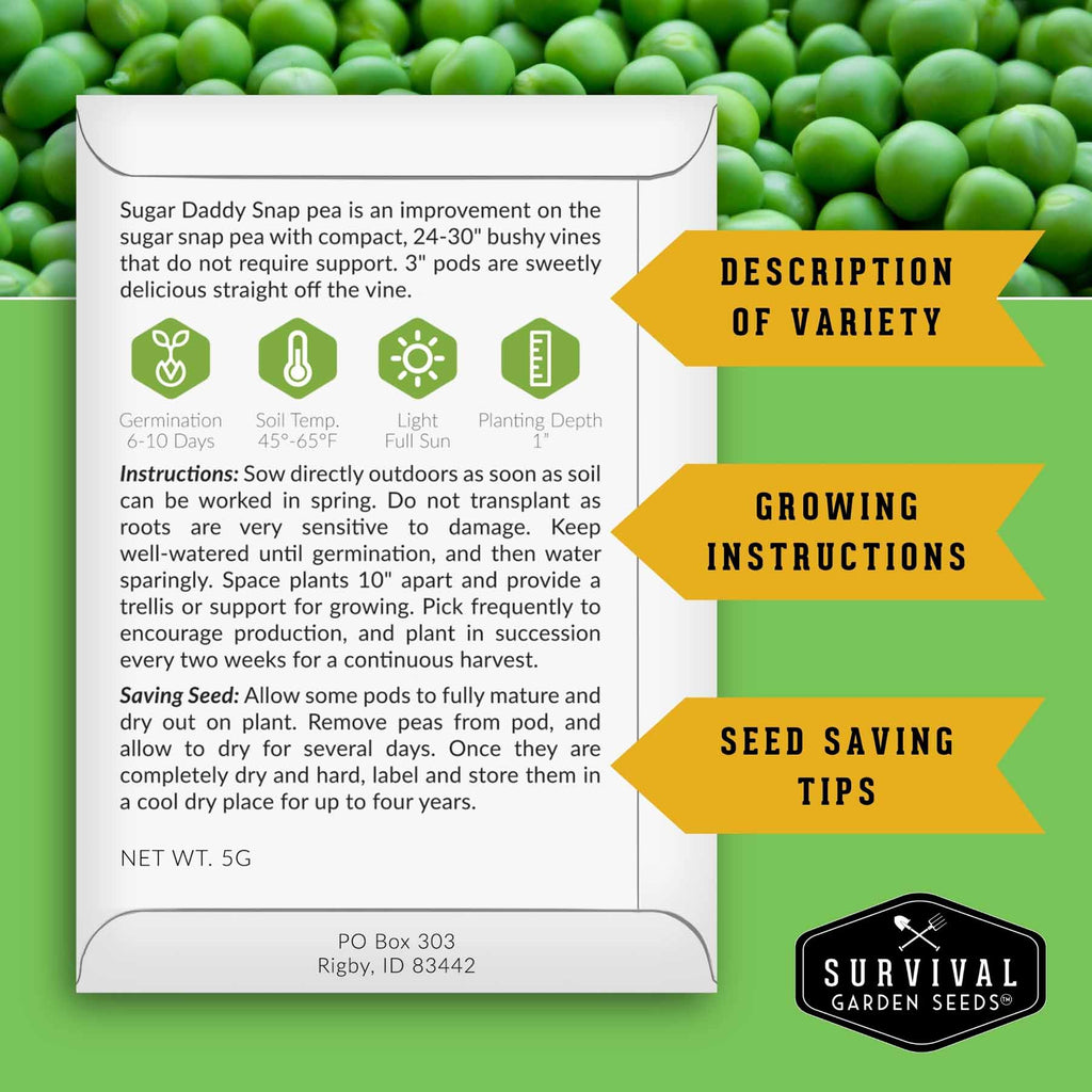 Kid’s Easy Garden Seed Collection – 6 Fast-Growing Vegetables & Herbs for Beginner Gardeners