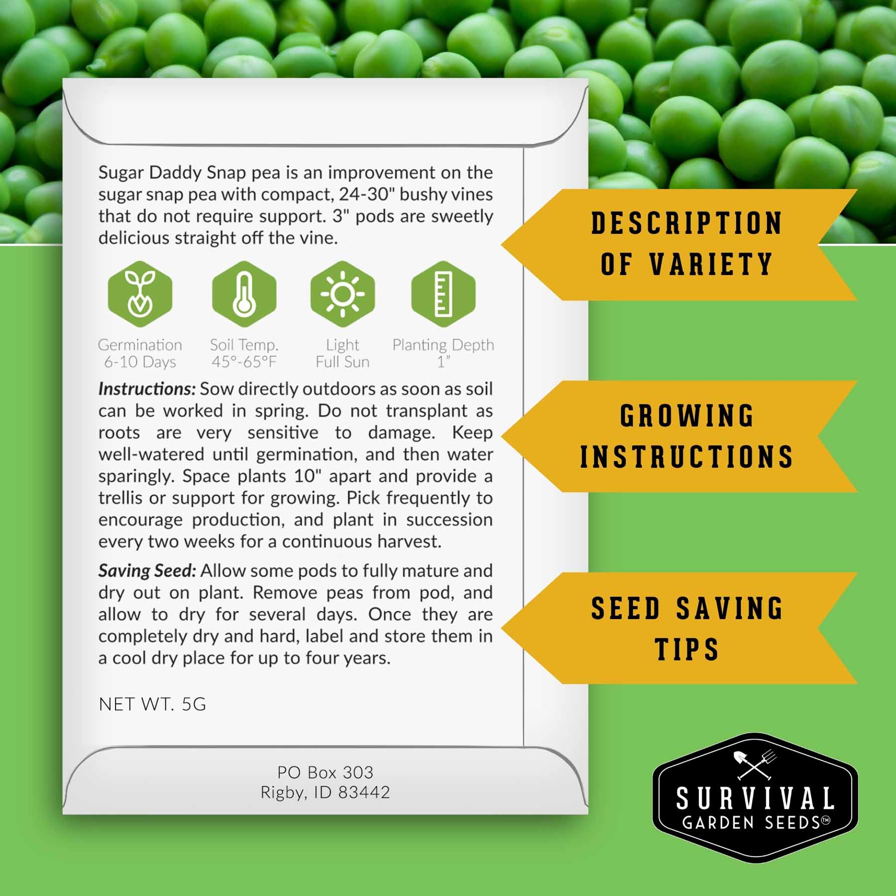 Kid’s Easy Garden Seed Collection – 6 Fast-Growing Vegetables & Herbs for Beginner Gardeners