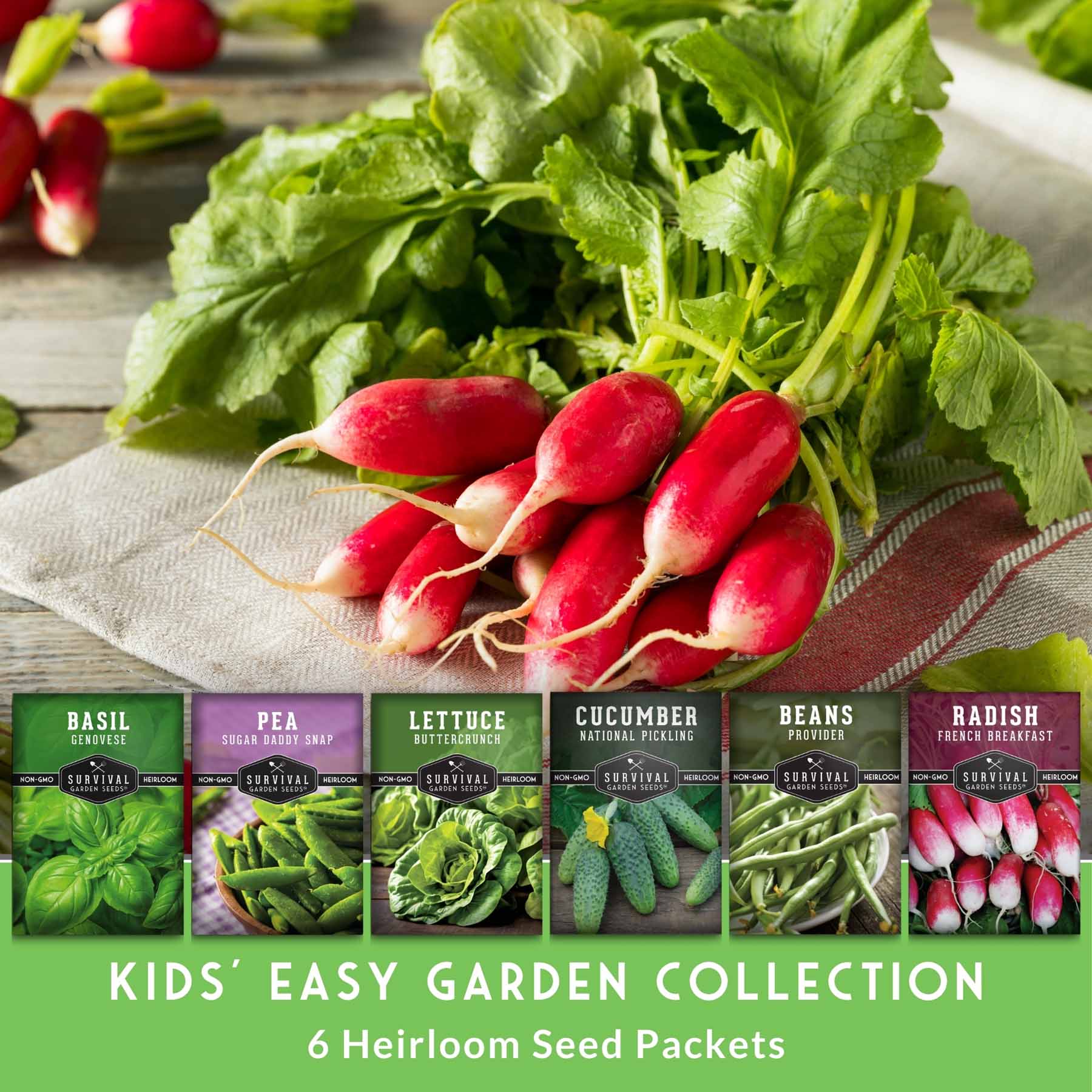 Kid’s Easy Garden Seed Collection – 6 Fast-Growing Vegetables & Herbs for Beginner Gardeners