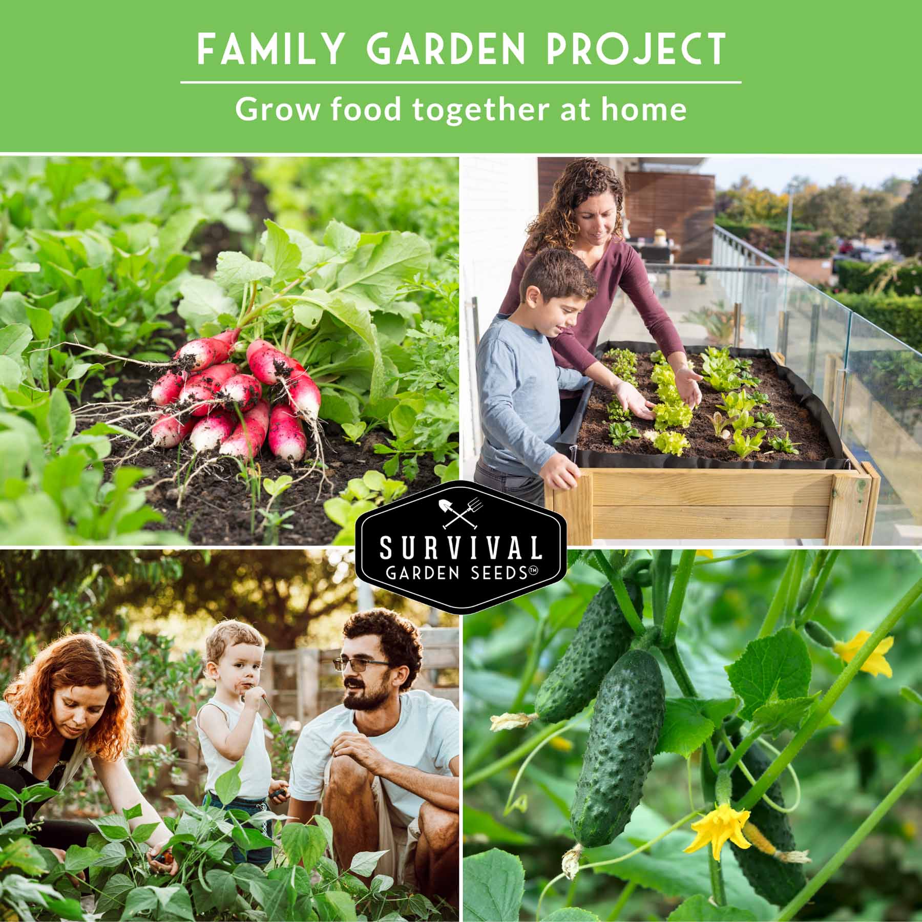 Kid’s Easy Garden Seed Collection – 6 Fast-Growing Vegetables & Herbs for Beginner Gardeners