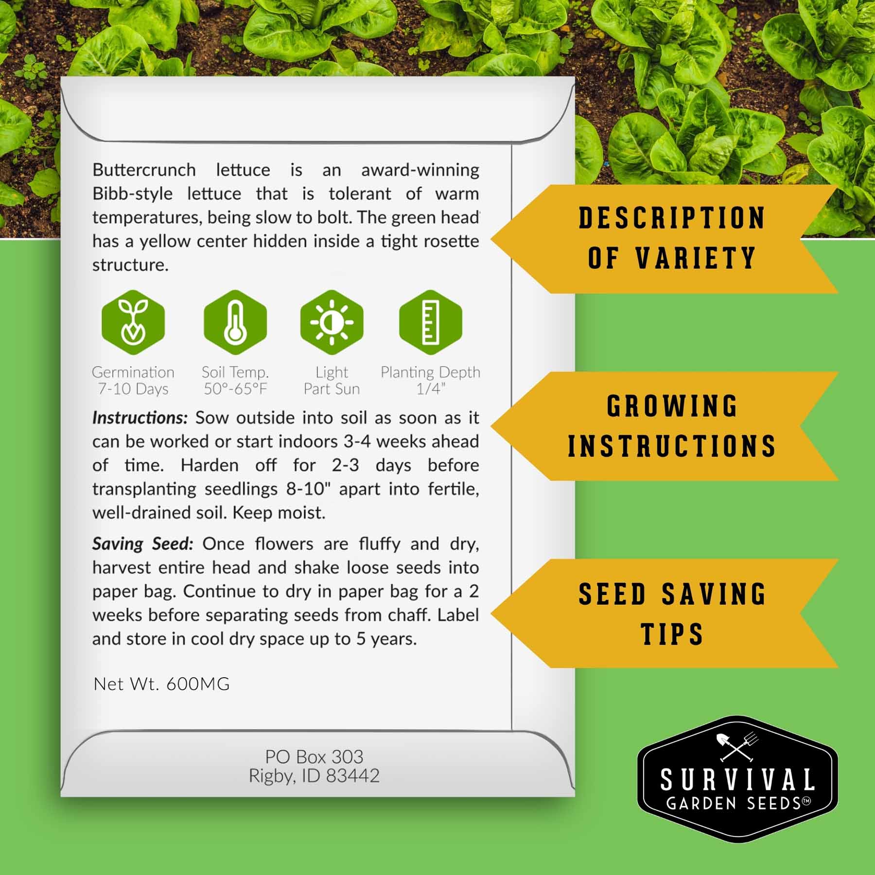 Lettuce Seed Collection – 5 Heirloom Varieties for Year-Round Harvest | Buttercrunch, Oakleaf, Lolla Rosa, Iceberg & Parris Island