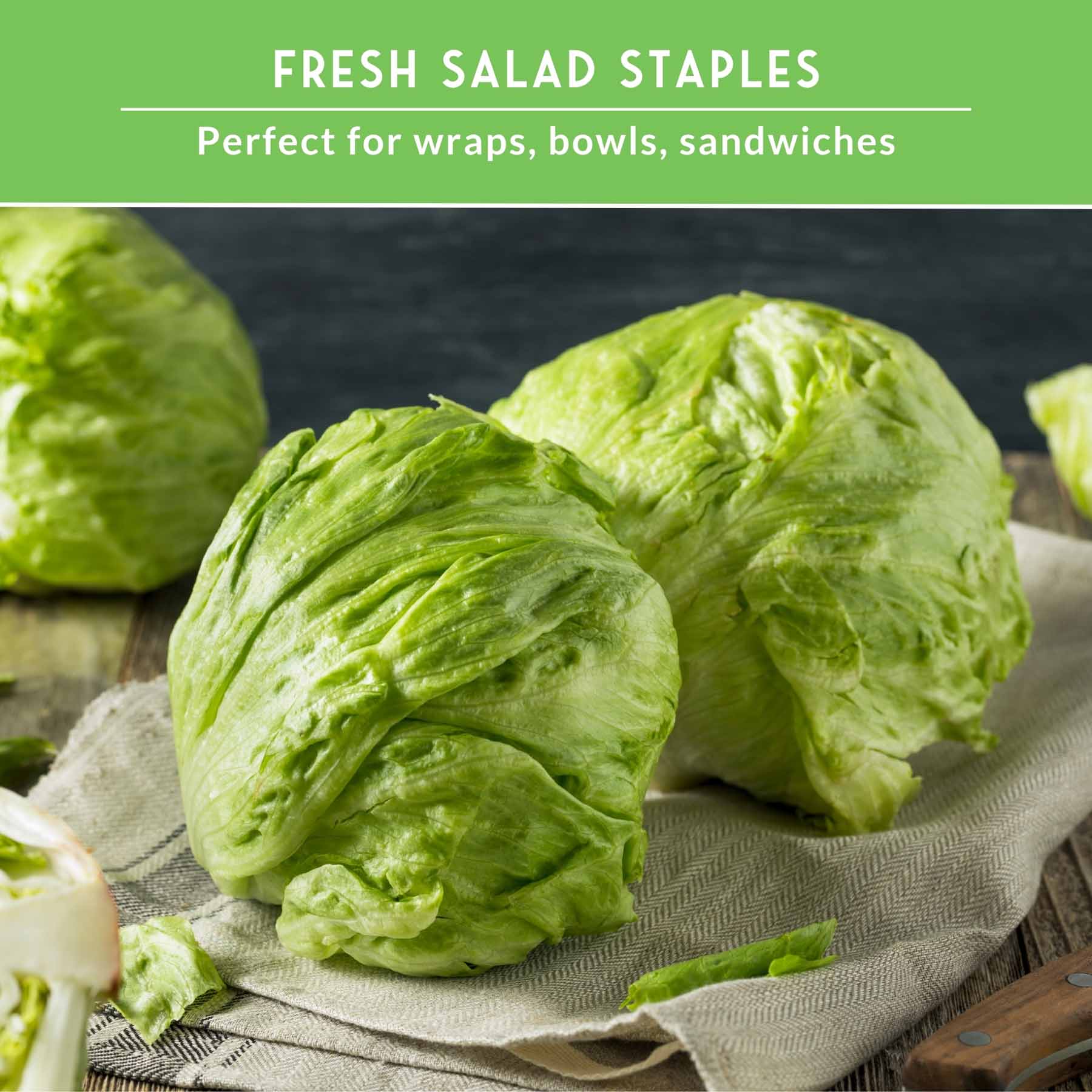 Lettuce Seed Collection – 5 Heirloom Varieties for Year-Round Harvest | Buttercrunch, Oakleaf, Lolla Rosa, Iceberg & Parris Island