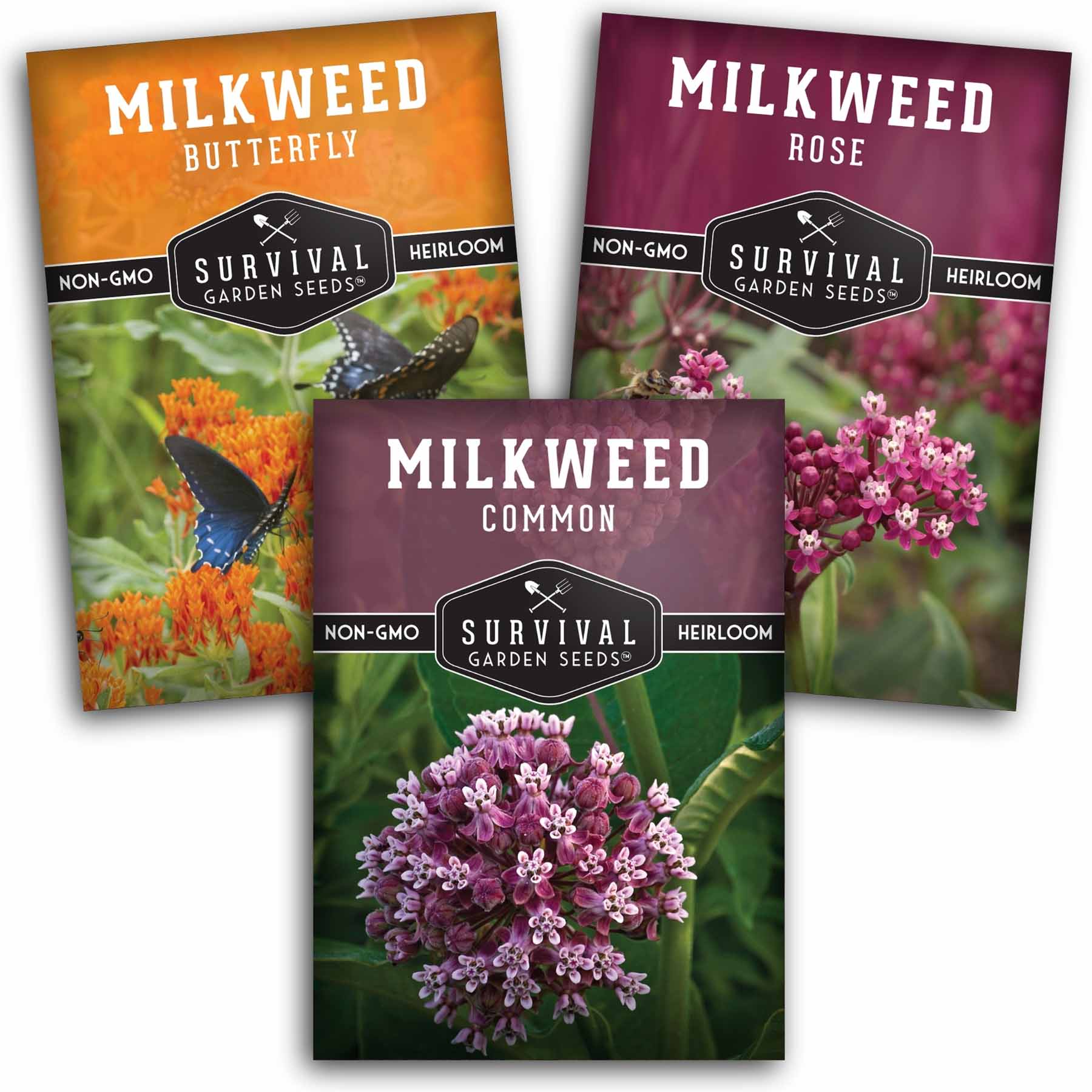 Milkweed Seed Collection – Common, Butterfly, and Rose Milkweed for Monarch Support