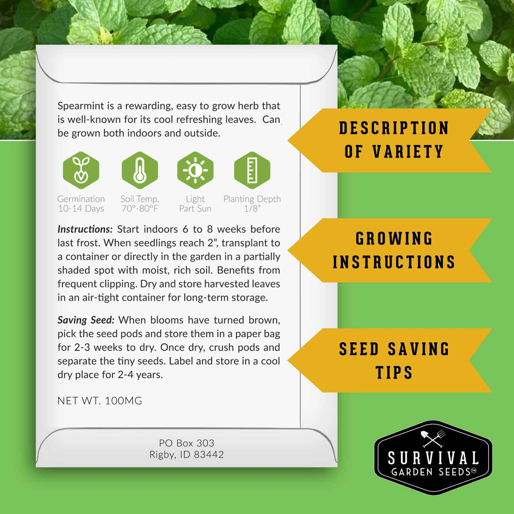 Mint Seed Mix – 4 Variety Pack: Peppermint, Spearmint, Lemon Balm & Catnip – Fragrant Culinary & Medicinal Herbs for Indoor or Outdoor Gardens