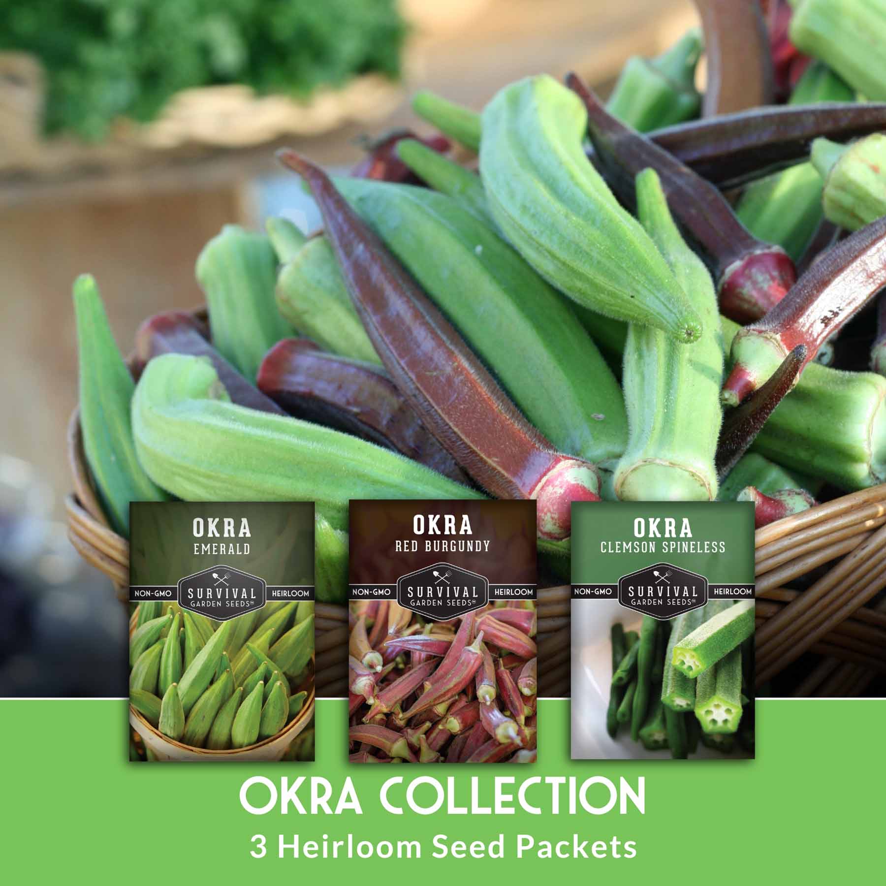 Okra Seed Collection – Red Burgundy, Clemson Spineless, and Emerald for Heat-Loving, High-Yield Summer Harvests
