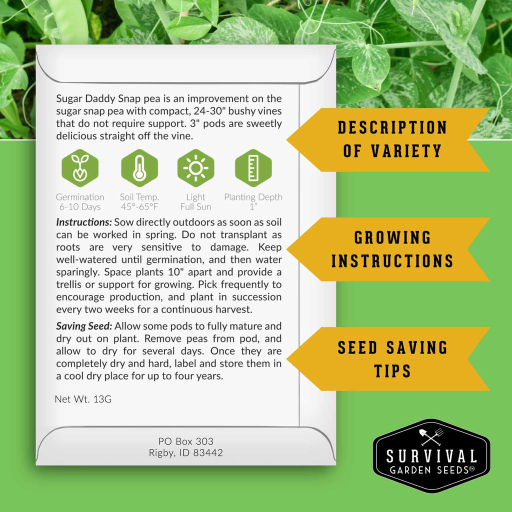 Sugar Pea Seed Collection – Oregon Sugar Pod II & Sugar Daddy Snap Peas for Crisp, Sweet Cool-Season Harvests