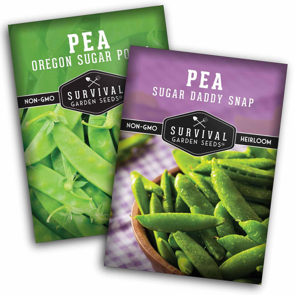 Sugar Pea Seed Collection – Oregon Sugar Pod II & Sugar Daddy Snap Peas for Crisp, Sweet Cool-Season Harvests