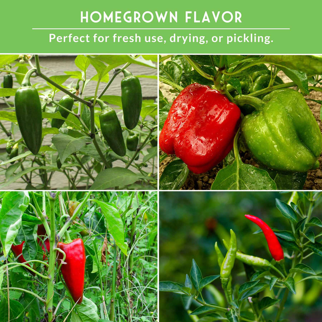 Eight Pepper Seed Collection – Heirloom Non-GMO Sweet & Hot Pepper Varieties for Home Gardening and Food Preservation