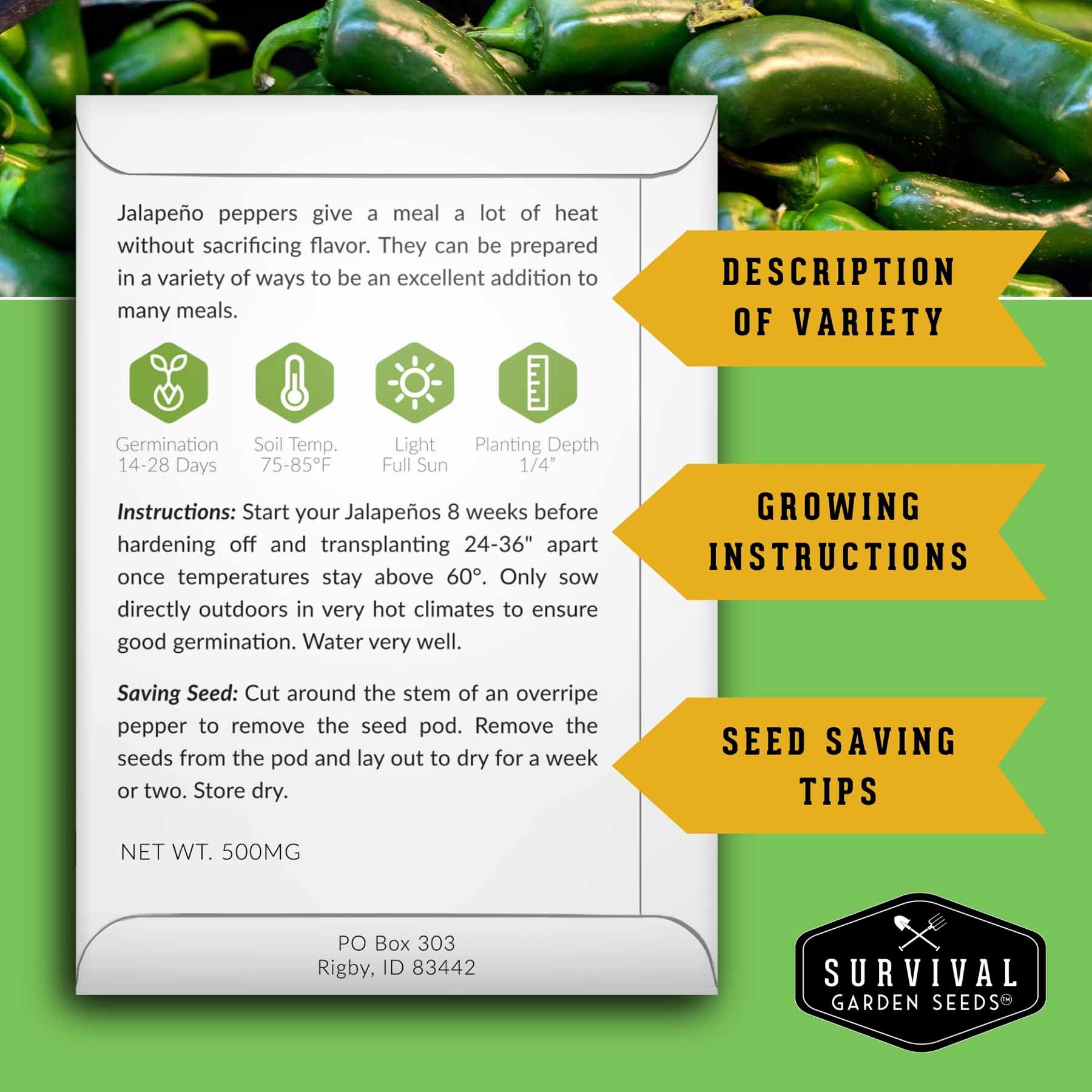 Hot Pepper Seed Collection – Heirloom Non-GMO 4-Variety Pack: Jalapeño, Serrano, Cayenne & Habanero Orange for Salsas, Sauces & Spicy Cooking
