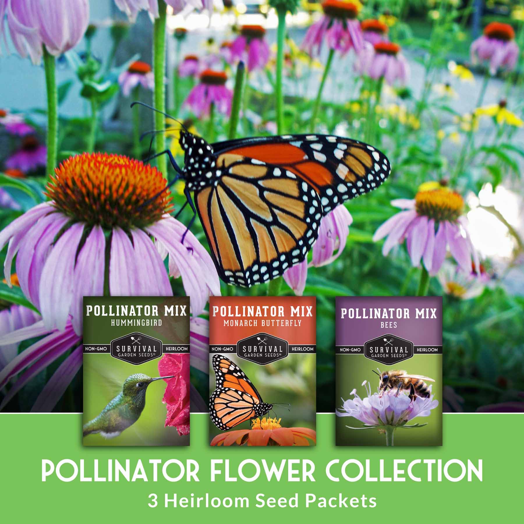 Pollinator Flower Seed Collection - Wildflower Mixes for Bees, Butterflies & Hummingbirds