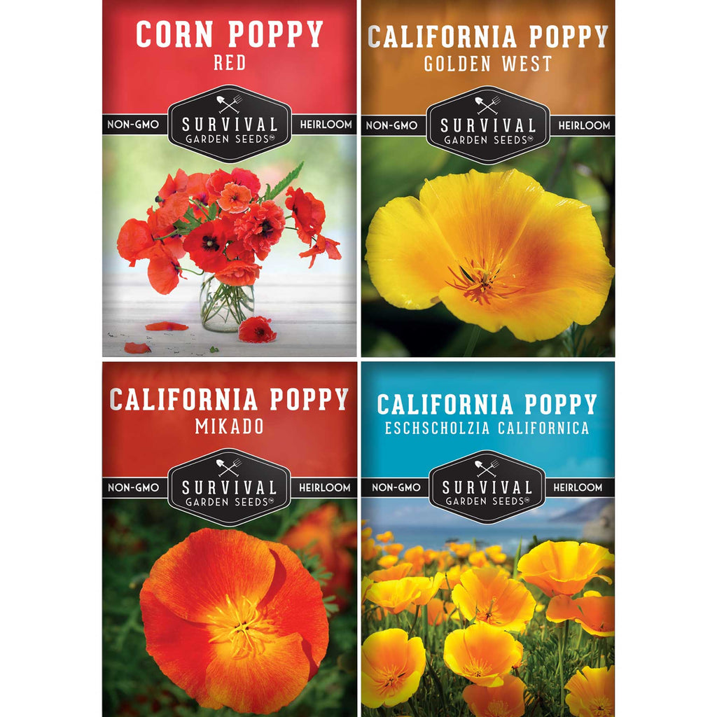 Poppy Seed Collection – California Poppy Trio & Flanders Poppy for Vibrant, Pollinator-Friendly Blooms