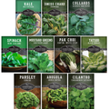 Power Greens Seed Collection – 10 Heirloom Non-GMO Leafy Green & Herb Varieties for Year-Round Nutrition