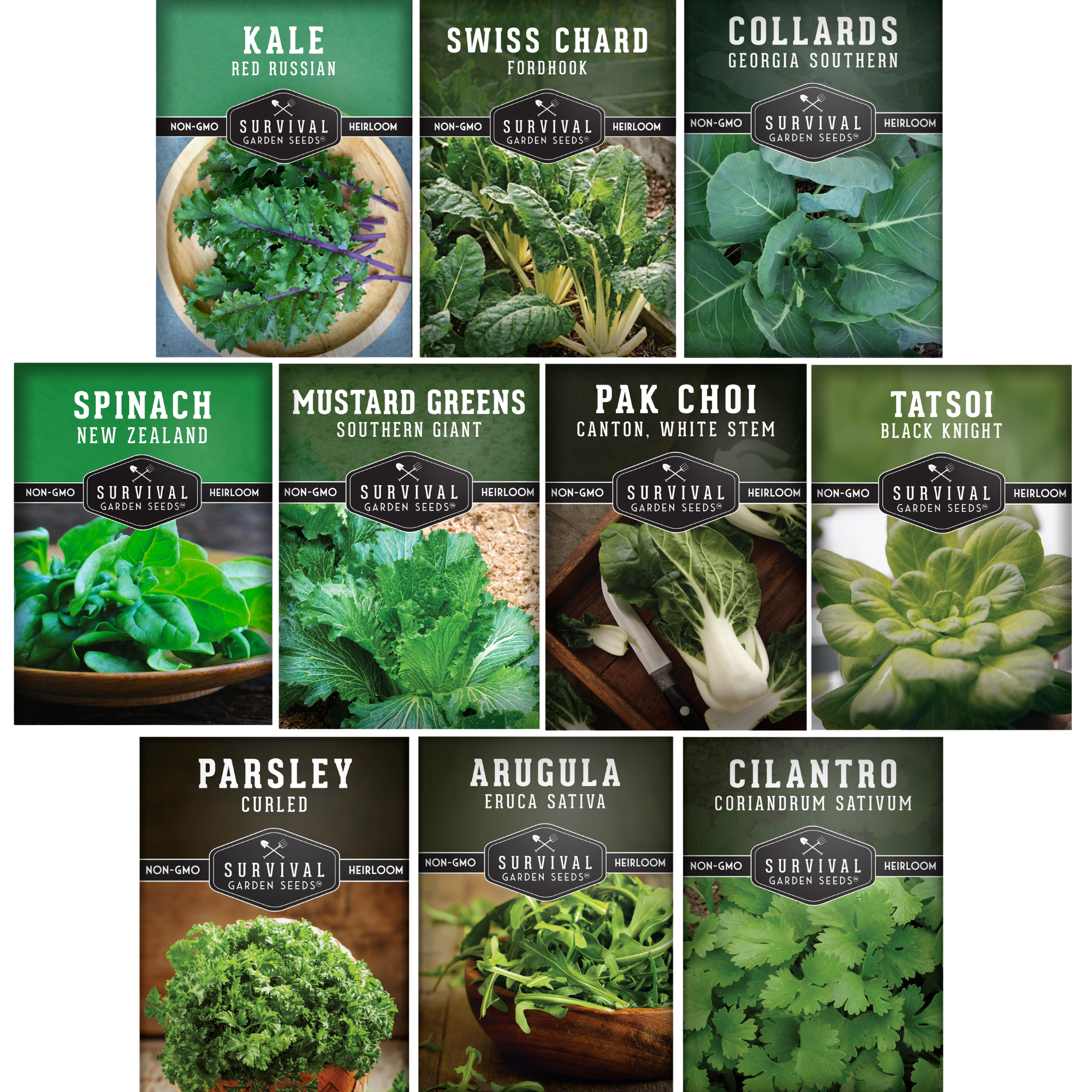 Power Greens Seed Collection – 10 Heirloom Non-GMO Leafy Green & Herb Varieties for Year-Round Nutrition