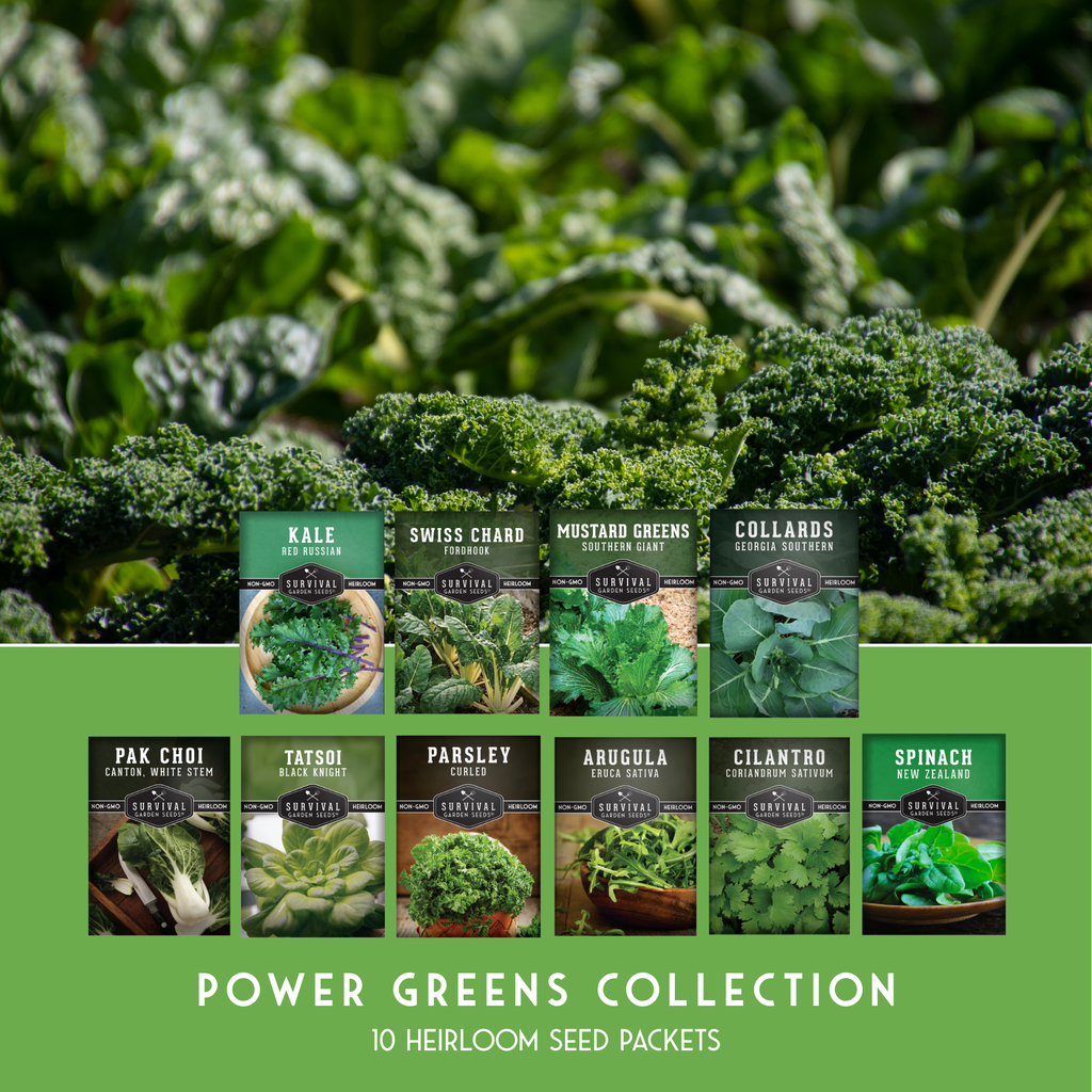 Power Greens Seed Collection – 10 Heirloom Non-GMO Leafy Green & Herb Varieties for Year-Round Nutrition