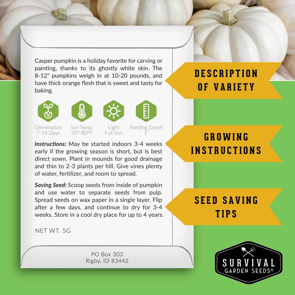 Pumpkin Seeds Variety Pack – 4 Heirloom Non-GMO Varieties for Baking, Carving, Fall Décor & Family Gardening