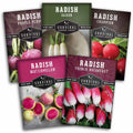 5 Variety Radish Seeds Pack – Heirloom Collection for Spring, Summer & Fall Gardens