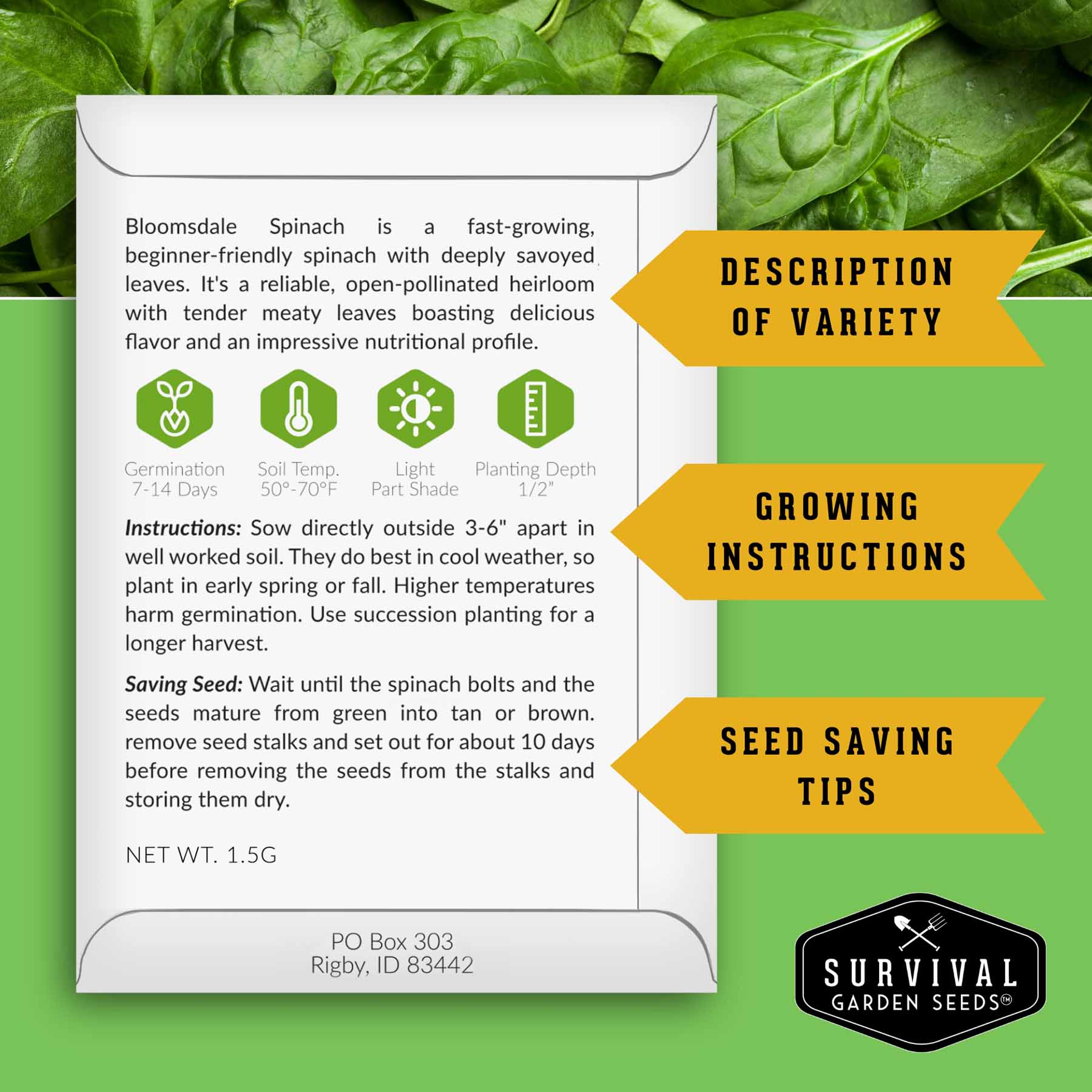 Spinach Seed Collection – 3 Heirloom Non-GMO Varieties: Viroflay, Giant Noble & Bloomsdale for Spring and Fall Gardens