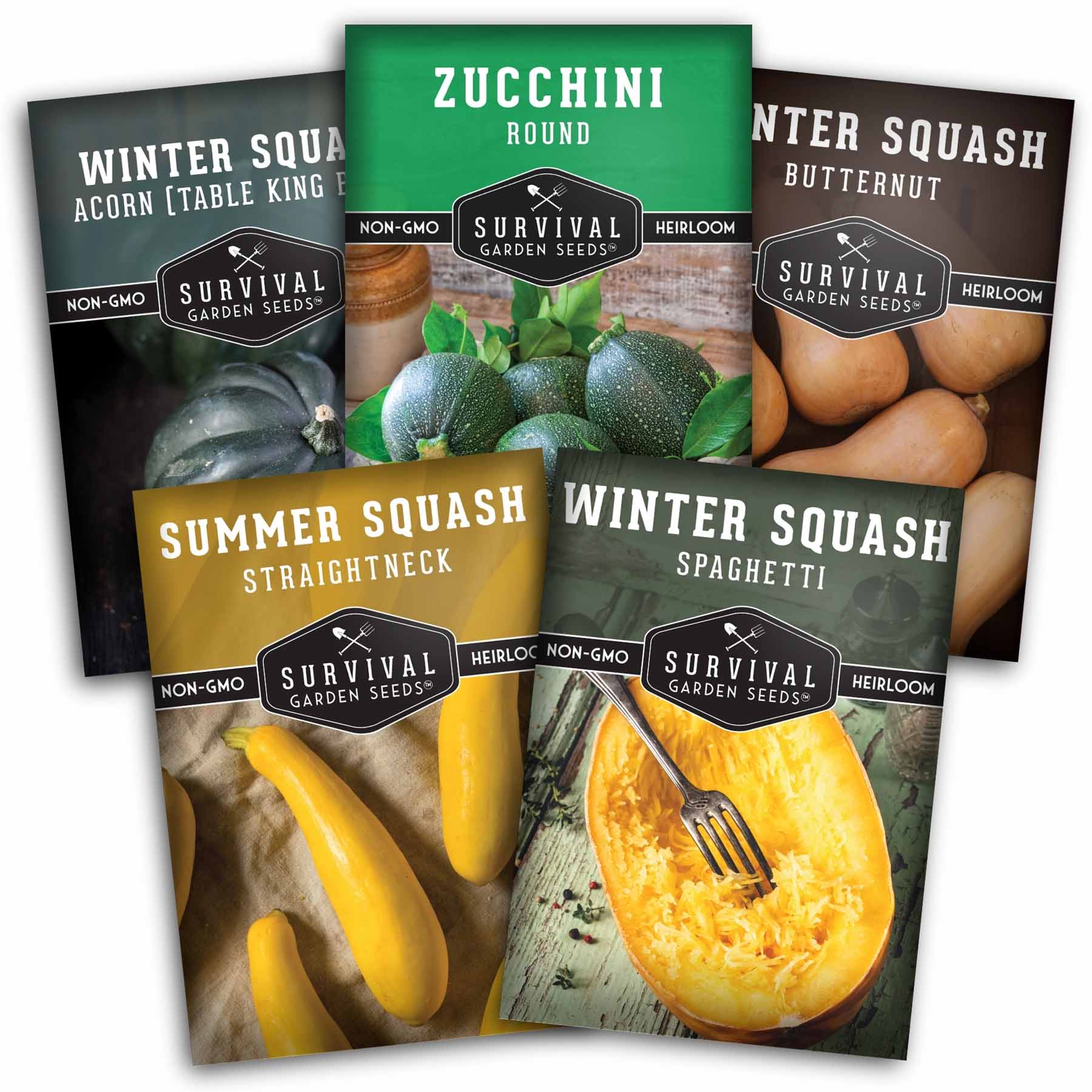 Squash Seed Collection – Zucchini, Yellow Summer, Butternut, Spaghetti & Acorn Varieties for Productive Summer and Winter Harvests